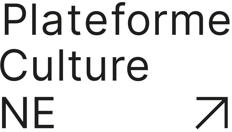 Plateforme Culture NE
